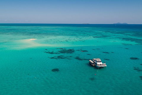 Ocean Freedom Great Barrier Reef Personal Luxury Snorkel & Dive Cruise, Cairns - Rental Cars 2