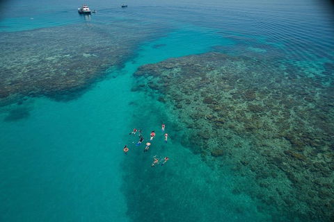 Ocean Freedom Great Barrier Reef Personal Luxury Snorkel & Dive Cruise, Cairns - Rental Cars 3