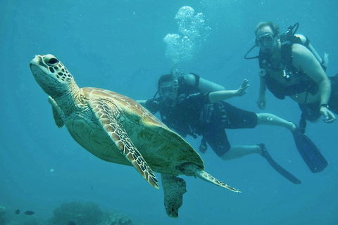 Ocean Freedom Great Barrier Reef Personal Luxury Snorkel & Dive Cruise, Cairns - Rental Cars 4