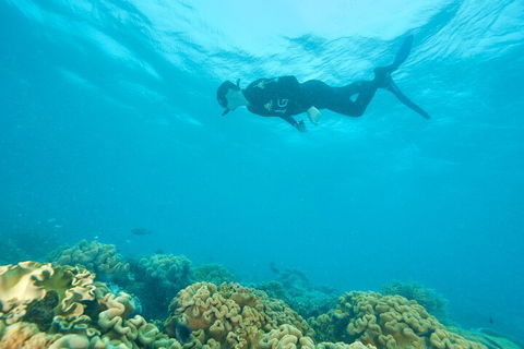 Ocean Freedom Great Barrier Reef Personal Luxury Snorkel & Dive Cruise, Cairns - Rental Cars 5