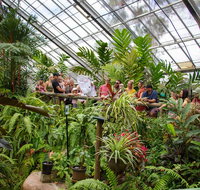 Australian Butterfly Sanctuary - Rental Cars