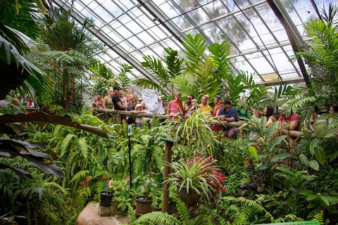 Australian Butterfly Sanctuary - Rental Cars 0