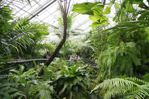 Australian Butterfly Sanctuary - Rental Cars 3