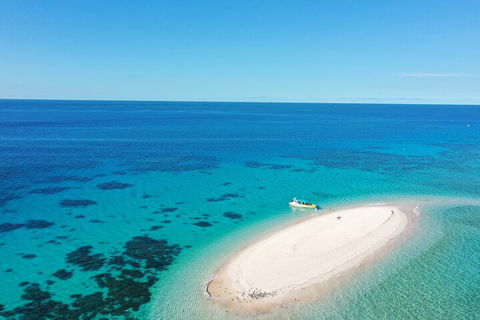 Ocean Safari Great Barrier Reef Experience In Cape Tribulation - Rental Cars 0