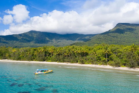 Ocean Safari Great Barrier Reef Experience In Cape Tribulation - Rental Cars 2
