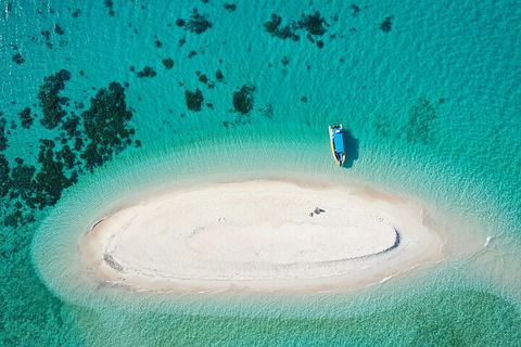 Ocean Safari Great Barrier Reef Experience In Cape Tribulation - Rental Cars 3