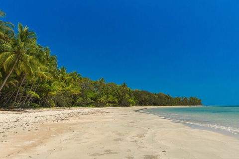 Ocean Safari Great Barrier Reef Experience In Cape Tribulation - Rental Cars 4
