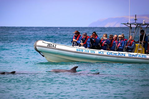 Kangaroo Island 75-Minute Ocean Safari - Rental Cars 4