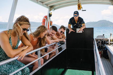 Fitzroy Island Day Trip From Cairns - Rental Cars 4
