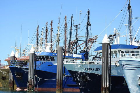 One Day Port Lincoln Tour - Tasting Eyre - Rental Cars 0
