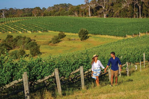 10 Day Perth To Adelaide Private Tour - The Great Australian Wilderness Journey - Rental Cars 0
