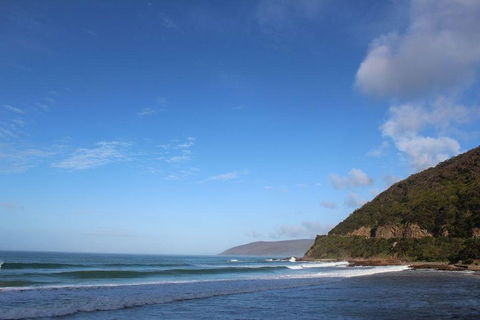 Private Great Ocean Road Day Tour With Early Departure & Early Return (11 Hours) - Rental Cars 3