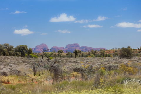 Overnight Uluru (Ayers Rock) Small-Group Camping Tour - Rental Cars 0