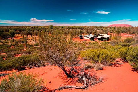 Overnight Uluru (Ayers Rock) Small-Group Camping Tour - Rental Cars 2