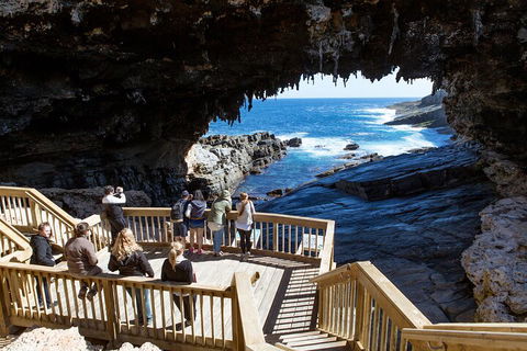 Full Day Flinders Chase Tour From Kangaroo Island - Rental Cars 1