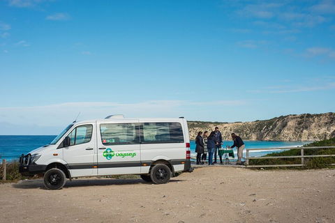 Full Day Flinders Chase Tour From Kangaroo Island - Rental Cars 3