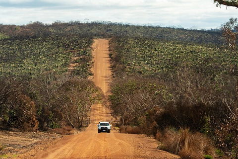 Full Day Flinders Chase Tour From Kangaroo Island - Rental Cars 4