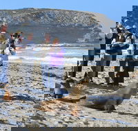 Full day Seal Bay Experience departing from Kangaroo Island - Rental Cars