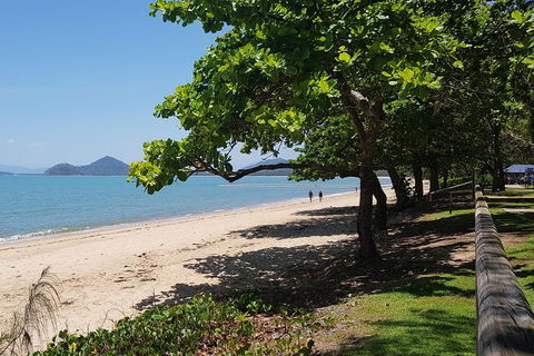 Small-Group Afternoon Cairns City Tour With Harbour Dinner Cruise - Rental Cars 1