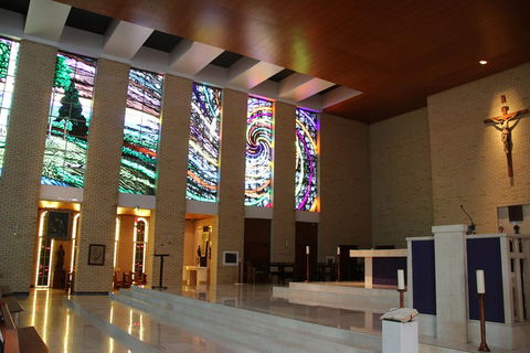 Small-Group Afternoon Cairns City Tour With Harbour Dinner Cruise - Rental Cars 4