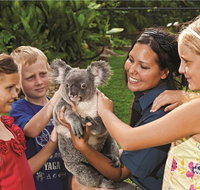 Kuranda Koala Gardens General Entry Ticket - Rental Cars