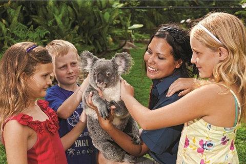 Kuranda Koala Gardens General Entry Ticket - Rental Cars 0