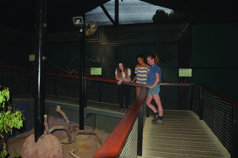 Kuranda Koala Gardens General Entry Ticket - Rental Cars 2