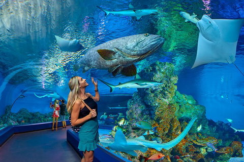 Cairns Aquarium Admission Ticket - Rental Cars 3