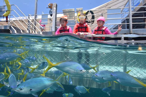 Outer Reef Pontoon Experience From Cairns - Rental Cars 0