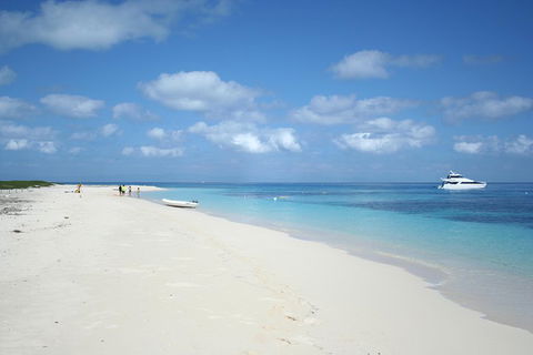 Seastar Luxury Outer Great Barrier Reef Island And Reef Tour From Cairns - Rental Cars 3