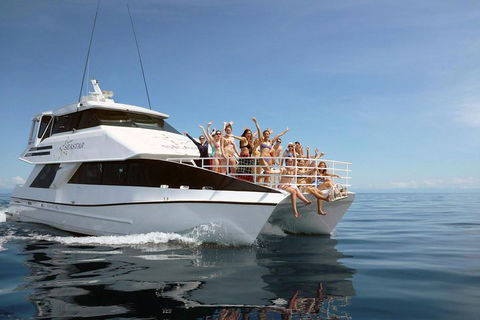 Seastar Luxury Outer Great Barrier Reef Island And Reef Tour From Cairns - Rental Cars 4