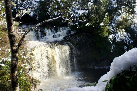 Cradle Mountain Day Tour From Launceston Including Lunch - Rental Cars 0