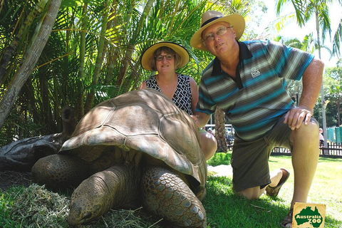 Small-Group Australia Zoo Day Trip From Brisbane - Rental Cars 1