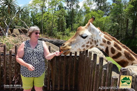 Small-Group Australia Zoo Day Trip From Brisbane - Rental Cars 2
