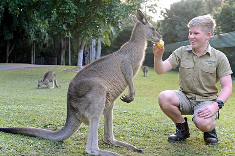 Small-Group Australia Zoo Day Trip From Brisbane - Rental Cars 4