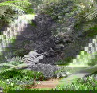 Private Daintree and Cape Tribulation Tour from Port Douglas - Rental Cars