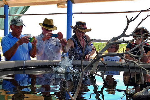 Cape Leveque 4WD Tour From Broome With Optional Return Flight - Rental Cars 0