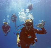 12-Day Great Barrier Reef Marine Conservation Program from Cairns - Rental Cars