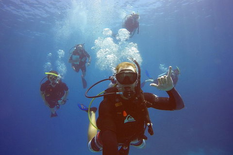 12-Day Great Barrier Reef Marine Conservation Program From Cairns - Rental Cars 0