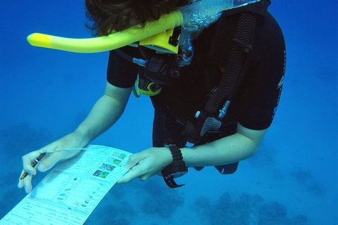 12-Day Great Barrier Reef Marine Conservation Program From Cairns - Rental Cars 2