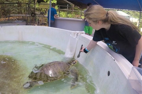 12-Day Great Barrier Reef Marine Conservation Program From Cairns - Rental Cars 4
