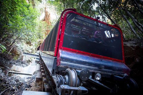 Blue Mountains Hop-on Hop-off Tour With Optional Scenic World Rides - Rental Cars 0