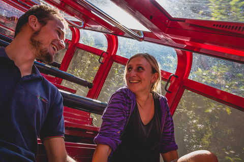 Blue Mountains Hop-on Hop-off Tour With Optional Scenic World Rides - Rental Cars 5