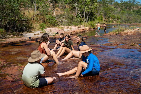 Litchfield National Park Waterfalls And Wildlife Tour From Darwin - Rental Cars 1