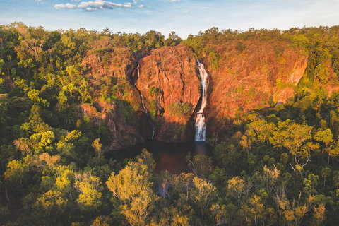 Litchfield National Park Waterfalls And Wildlife Tour From Darwin - Rental Cars 2