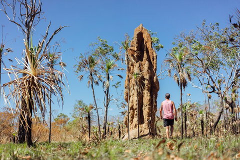 Litchfield National Park Waterfalls And Wildlife Tour From Darwin - Rental Cars 4