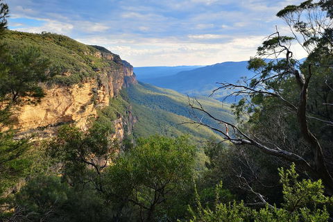 Blue Mountains Day Tour With Wildlife At Sunset From Sydney - Rental Cars 5