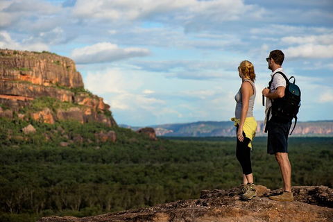 Kakadu National Park Wildlife And Ubirr Rock Art Tour From Darwin City - Rental Cars 3