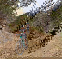 Mount Lofty Descent Bike Tour from Adelaide - Rental Cars