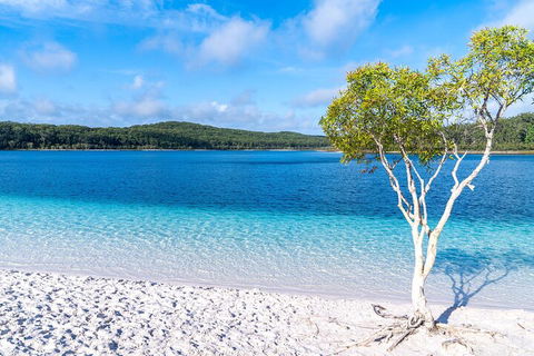 Lake McKenzie Full-Day Tour With Lunch From Hervey Bay - Rental Cars 1